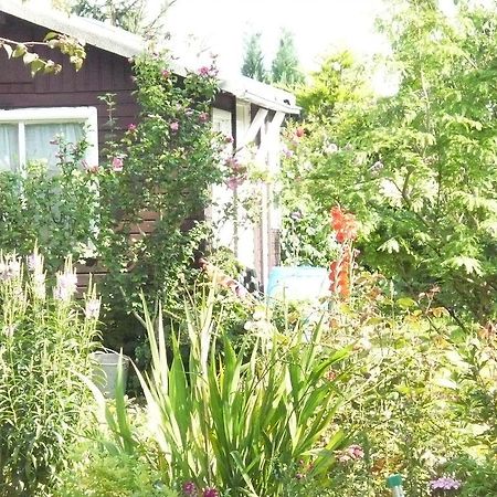 Wohnen Bei Gabi Apartment Walkendorf Ruang foto