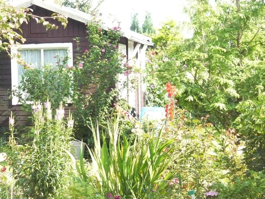 Wohnen Bei Gabi Apartment Walkendorf Ruang foto